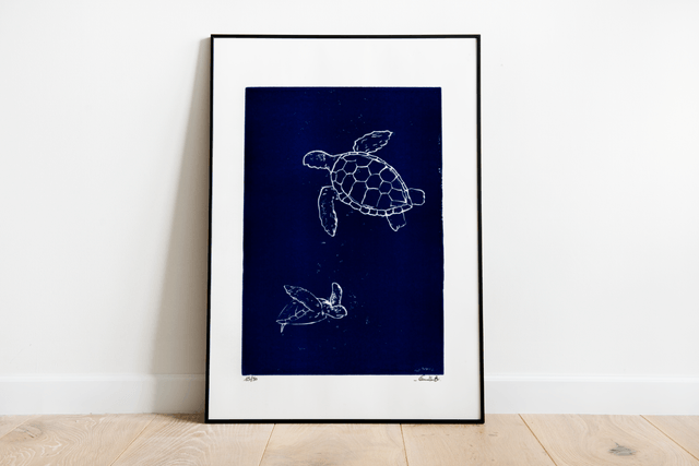 Les tortues