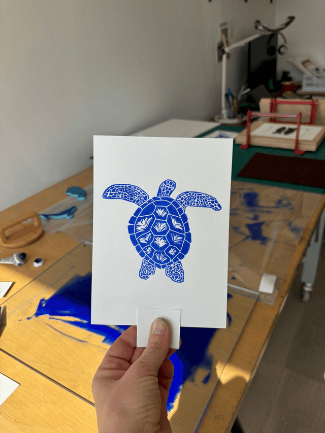 La tortue "mini"