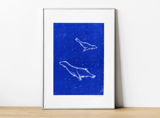 Les deux phoques