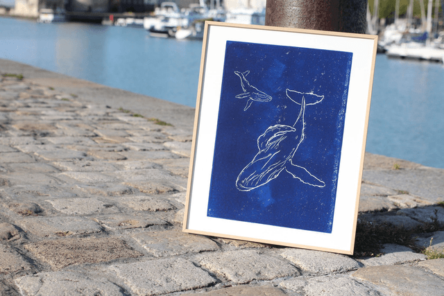 Le duo de baleines